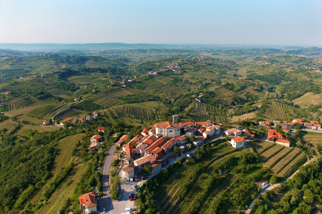 Slovenia Explorer - From Ljubljana: Goriska Brda - Wine Tasting Private Day Trip