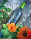 rioja-bodegas-loli-casado-wine.webp