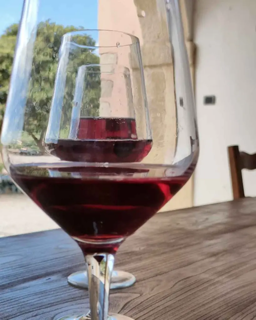 Corte Archi winery Veneto red wine.webp