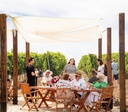 Bononia - Wine tasting in the vineyard