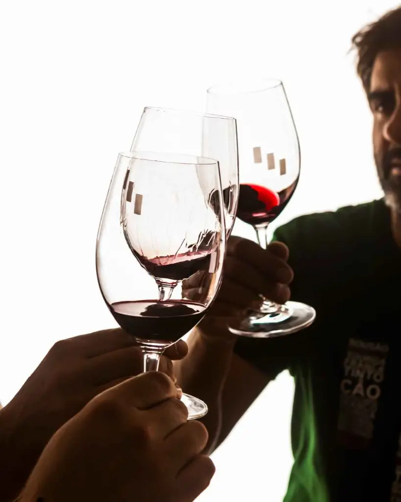 quinta-da-pedra-alta-experience-premium.webp