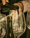 Bell Cros, red wine tasting.webp