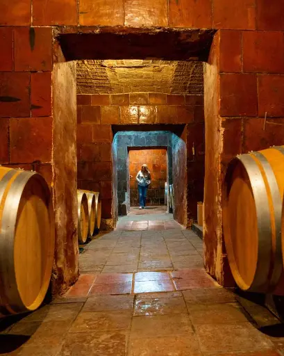 Spain, Catalonia, Bodegas Torre Del Veguer - Visit and Tasting