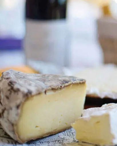 Spain, Catalonia, Bodegas Torre Del Veguer - Wine pairing & Cheeses