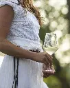 le-manzane-white-wine-tasting.webp