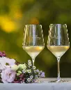 Le manzane-white-wine.webp
