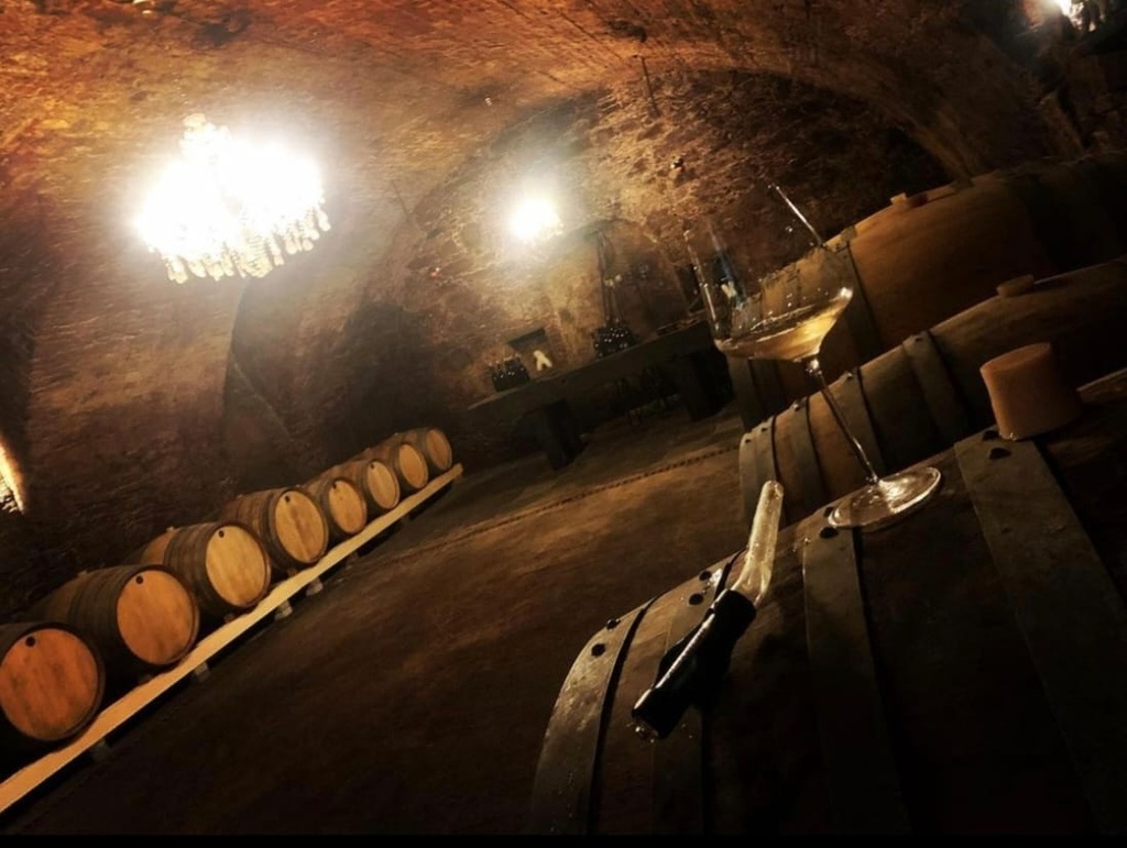 M ednostavno dobra vina - Extreme Wine Tasting Experience And Winery Tour