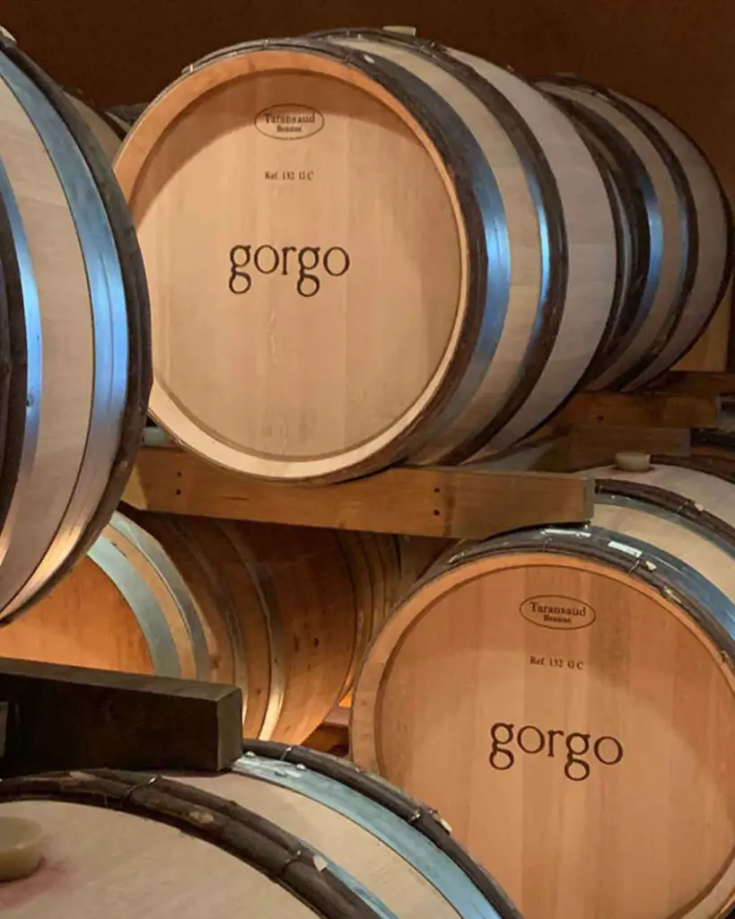 veneto-gorgo-winery-wine-cellar.webp