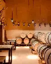 gorgo-winery-cellar.webp