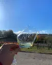 La Veneranda, white wines tasting.webp