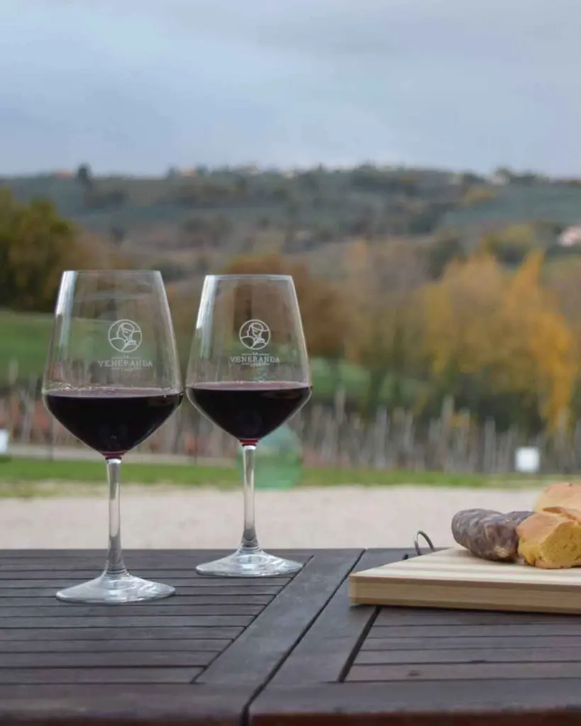 la-veneranda-red-wine-tasting.webp