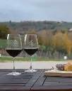 la-veneranda-red-wine-tasting.webp