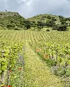 bodega-dona-felisa.webp