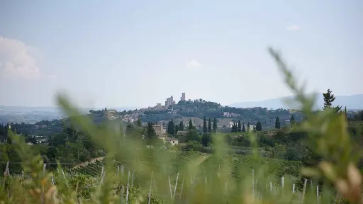 Italy, Tuscany, From Florence - Siena, San Gimignano, Monteriggioni & Chianti Wine Region With Wine Tasting
