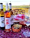 herdade-canal-caveira-serra-brava-experience.webp