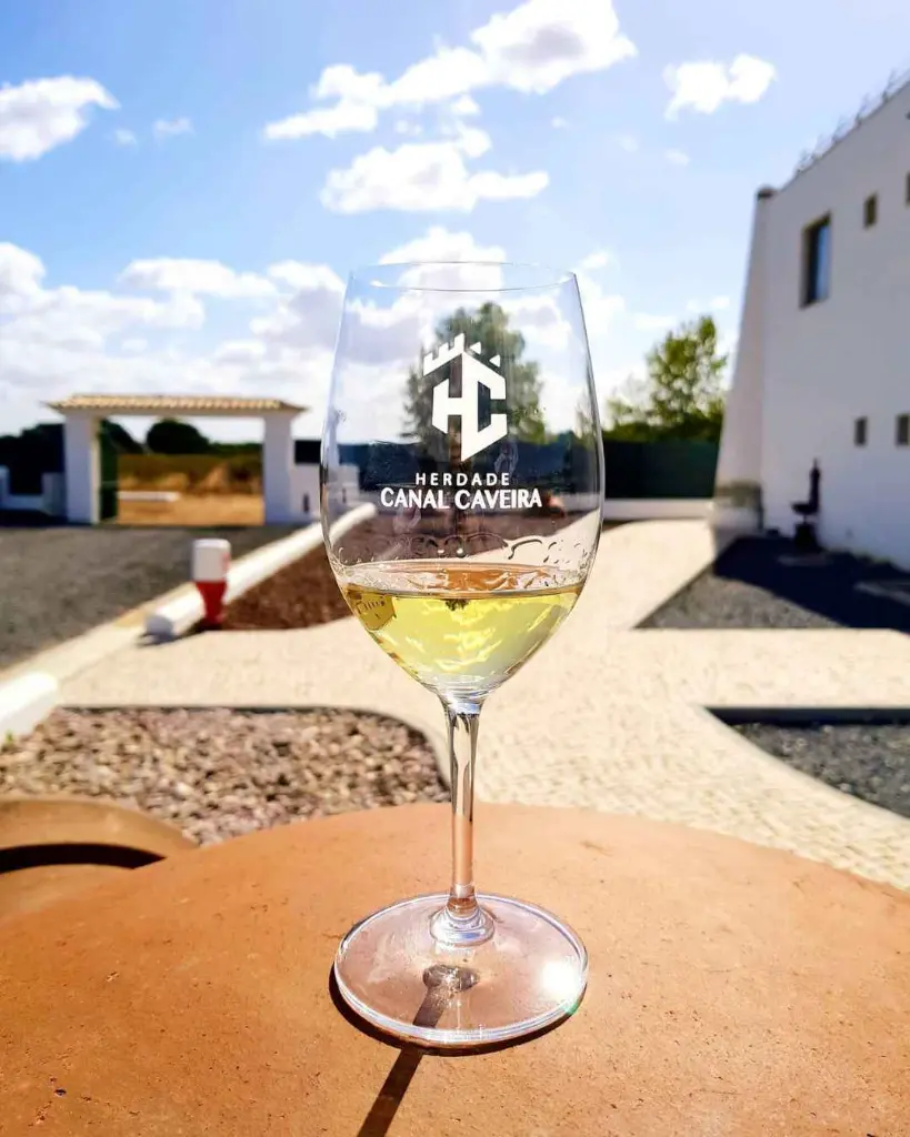 herdade-canal-caveira-tasting-experience.webp