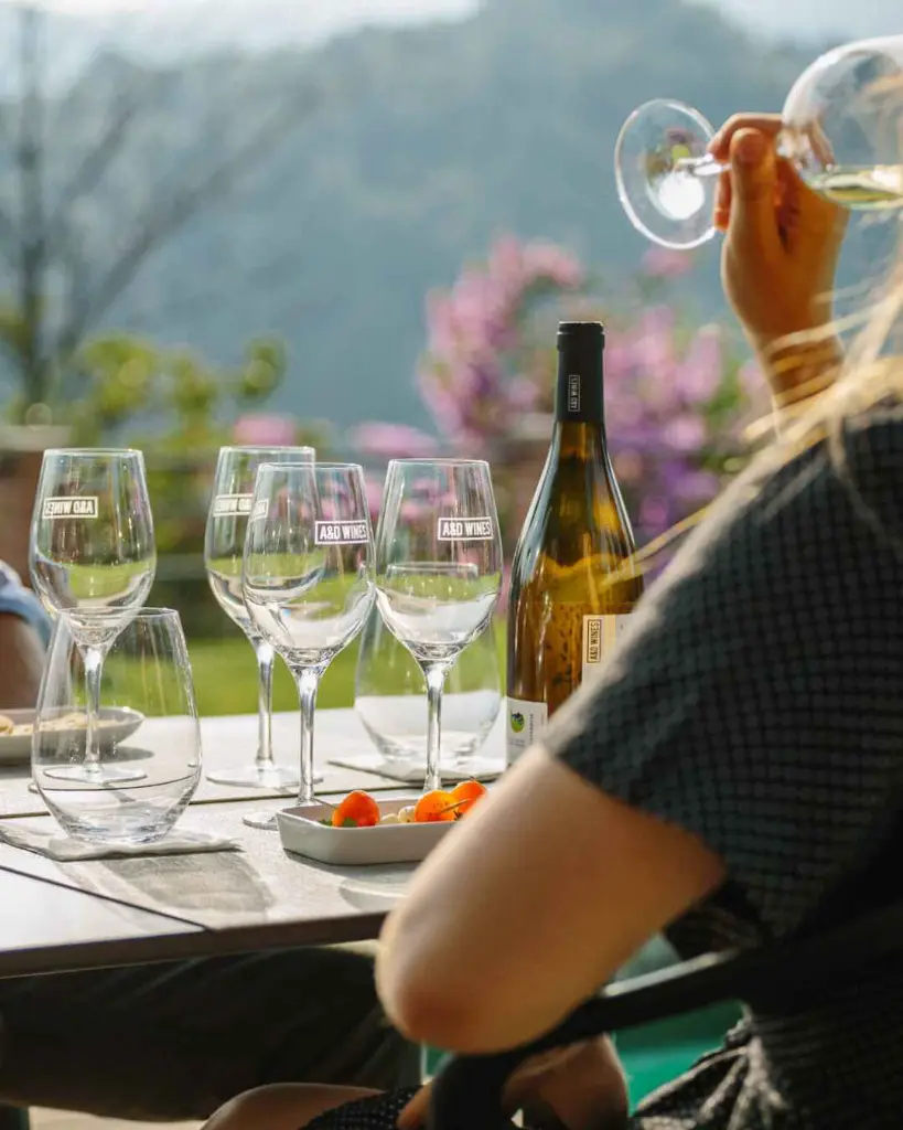 quinta-de-santa-teresa-wine-tasting-vinho-verde-portugal.webp