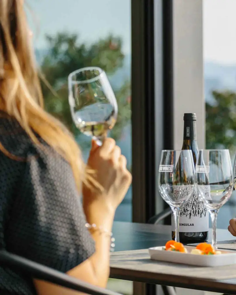 quinta-de-santa-teresa-wine-tasting-vinho-verde-portugal.webp