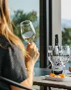 quinta-de-santa-teresa-wine-tasting-vinho-verde-portugal.webp