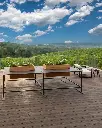 dosio-vigneti-piedmont-premium.webp