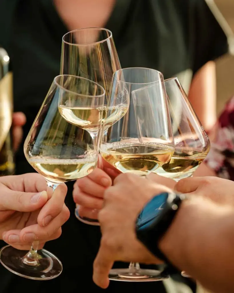 weingut-neustifter-wine-tasting.webp