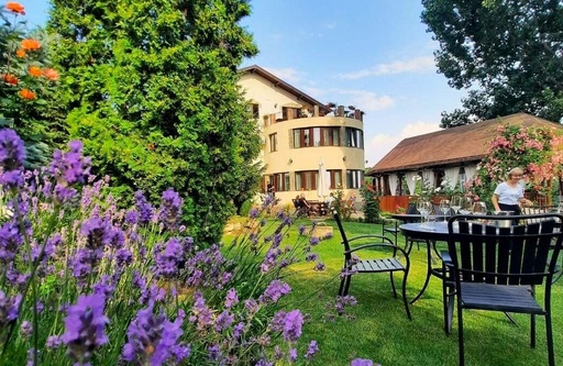 Romania, Muntenia - From Bucharest: Wine Tasting Tour in Dealu Mare Wine Region