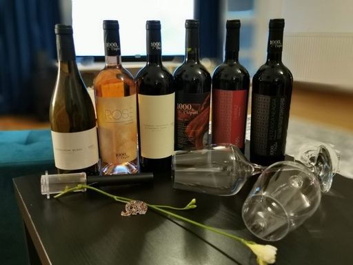 Romania, Muntenia - From Bucharest: Wine Tasting Tour in Dealu Mare Wine Region