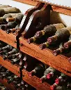 quercia-al-poggio-wine-tasting-tuscany-italy.webp