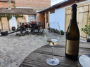 Magellan - Wine Trails & Historical Tales through Fruška Gora