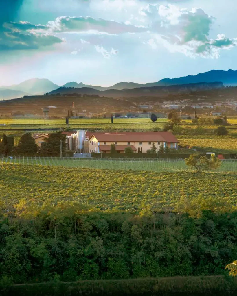 rino-sartori-winery.webp