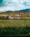 rino-sartori-winery.webp