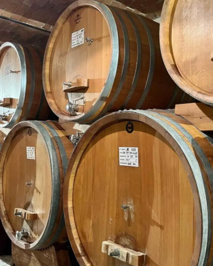Tasting of three wines in the historic center of Neive Piedmont Massimo Rivetti.webp
