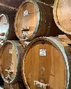 Tasting of three wines in the historic center of Neive Piedmont Massimo Rivetti.webp