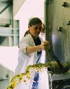 Harvest program - Casa Relvas Portugal.webp