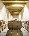 alves-de-sousa-wine-cellar-douro-portugal.webp