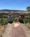 wine-tasting-among-the-vineyard-piece-di-pitti-tuscany.webp