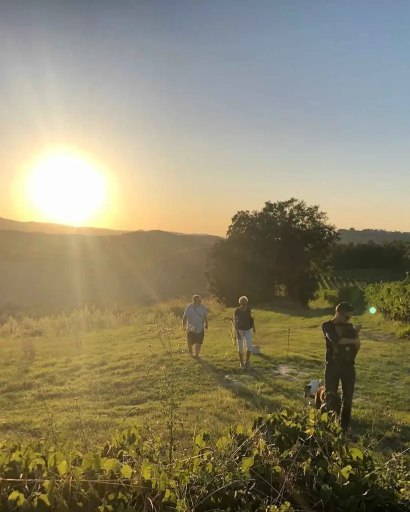 wine-tasting-among-the-vineyard-piece-di-pitti-tuscany.webp