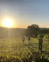 wine-tasting-among-the-vineyard-piece-di-pitti-tuscany.webp