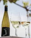 klados-pergola-tasting-crete-greece.webp