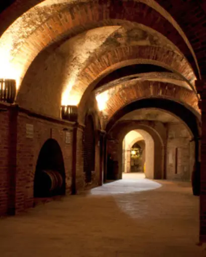Spain, Castilla and Leon, Bodegas Mocen - Visit Bodegas Mocen, culture, art and wine