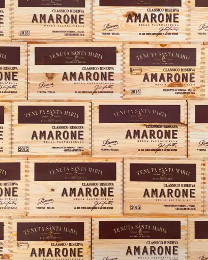Italy, Veneto, Tenuta Santa Maria di Gaetano Bertani - Valpolicella Tour at the Amarone Chateau - 4 Wines Tasting