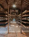 Tenuta Santa Maria di Gaetano Bertani, grape.webp