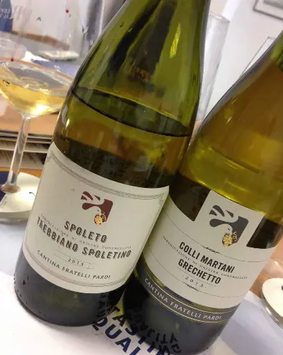 Italy, Umbria, Cantina Fratelli Pardi - All White Wines