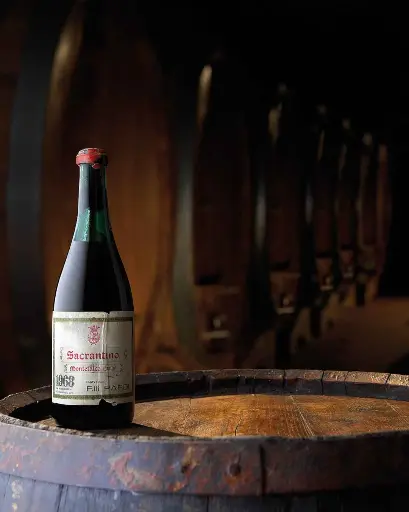 Italy, Umbria, Cantina Fratelli Pardi - Sagrantino