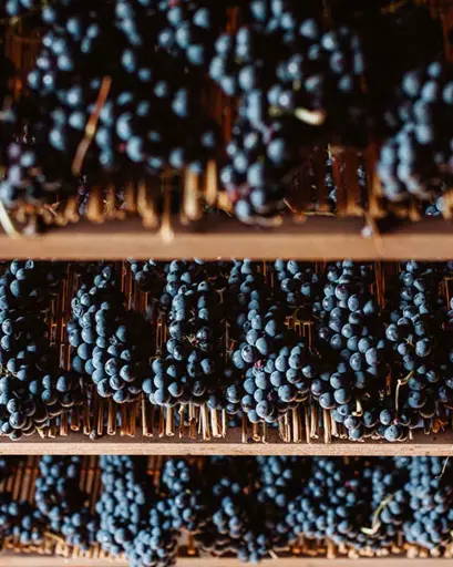 Italy, Umbria, Cantina Fratelli Pardi - All Red Wines