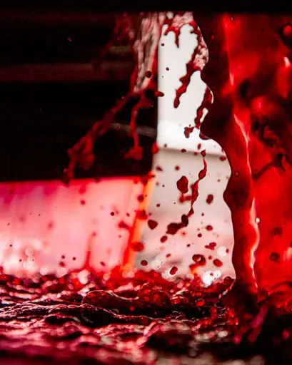 Italy, Umbria, Cantina Fratelli Pardi - All Red Wines