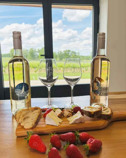 France, Bordeaux, Château L'Eperon - Wine tasting with selected cheeses