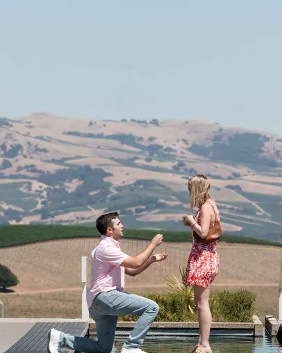 US, California, Napa Valley, Artesa Winery - Artisanal Tasting