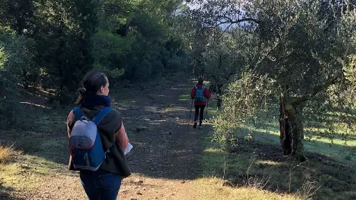 Italy, Tuscany, From Florence - Hike & Wine with Lunch