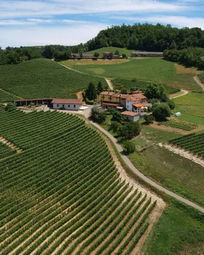 Italy, Piedmont, Cascina Sòt - Visit and tasting